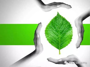 必看 實現(xiàn)磚廠企業(yè)達標排放 金瑞特環(huán)保科技